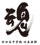 PTN_a_054
